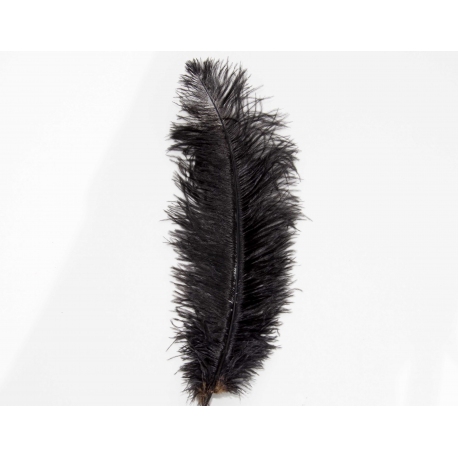 17-19 Inch Ostrich Floss Feather